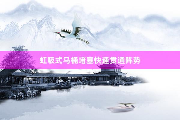 虹吸式马桶堵塞快速贯通阵势