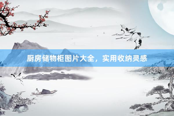 厨房储物柜图片大全，实用收纳灵感