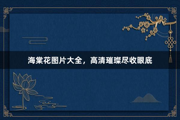 海棠花图片大全，高清璀璨尽收眼底