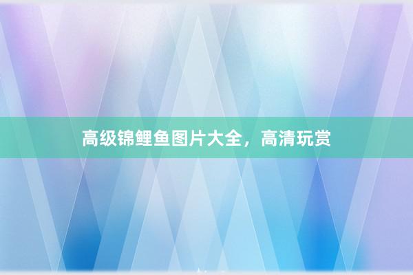 高级锦鲤鱼图片大全，高清玩赏